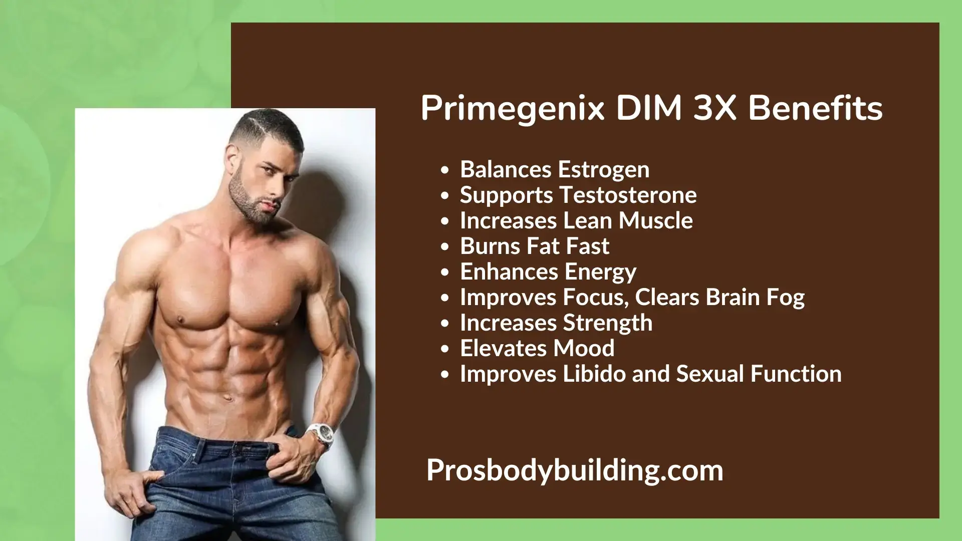 Primegenix DIM 3X review
