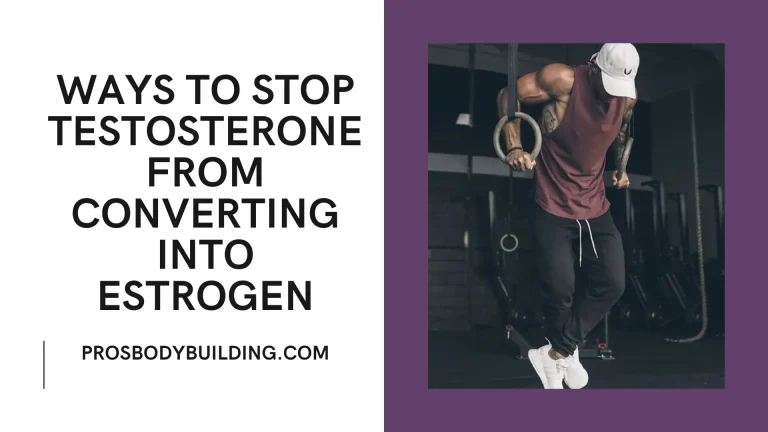 ways to stop testosterone from converting into estrogen