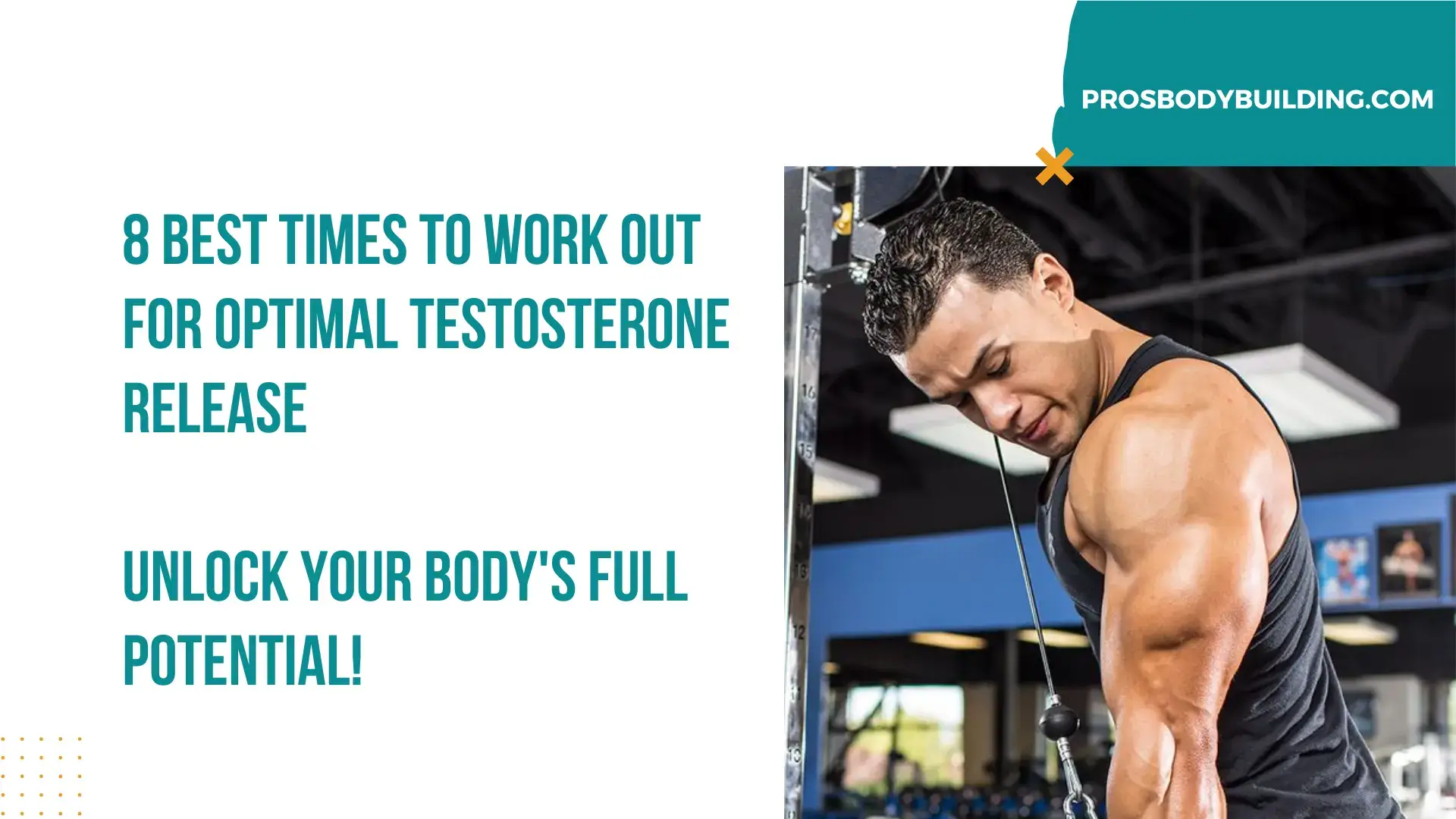 Best Times to Work Out for Optimal Testosterone Release