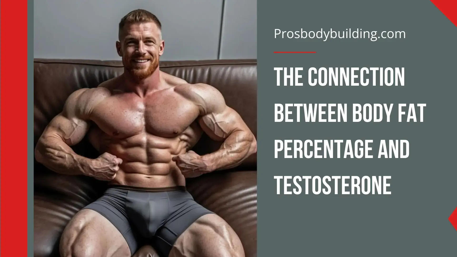 body fat and testosterone