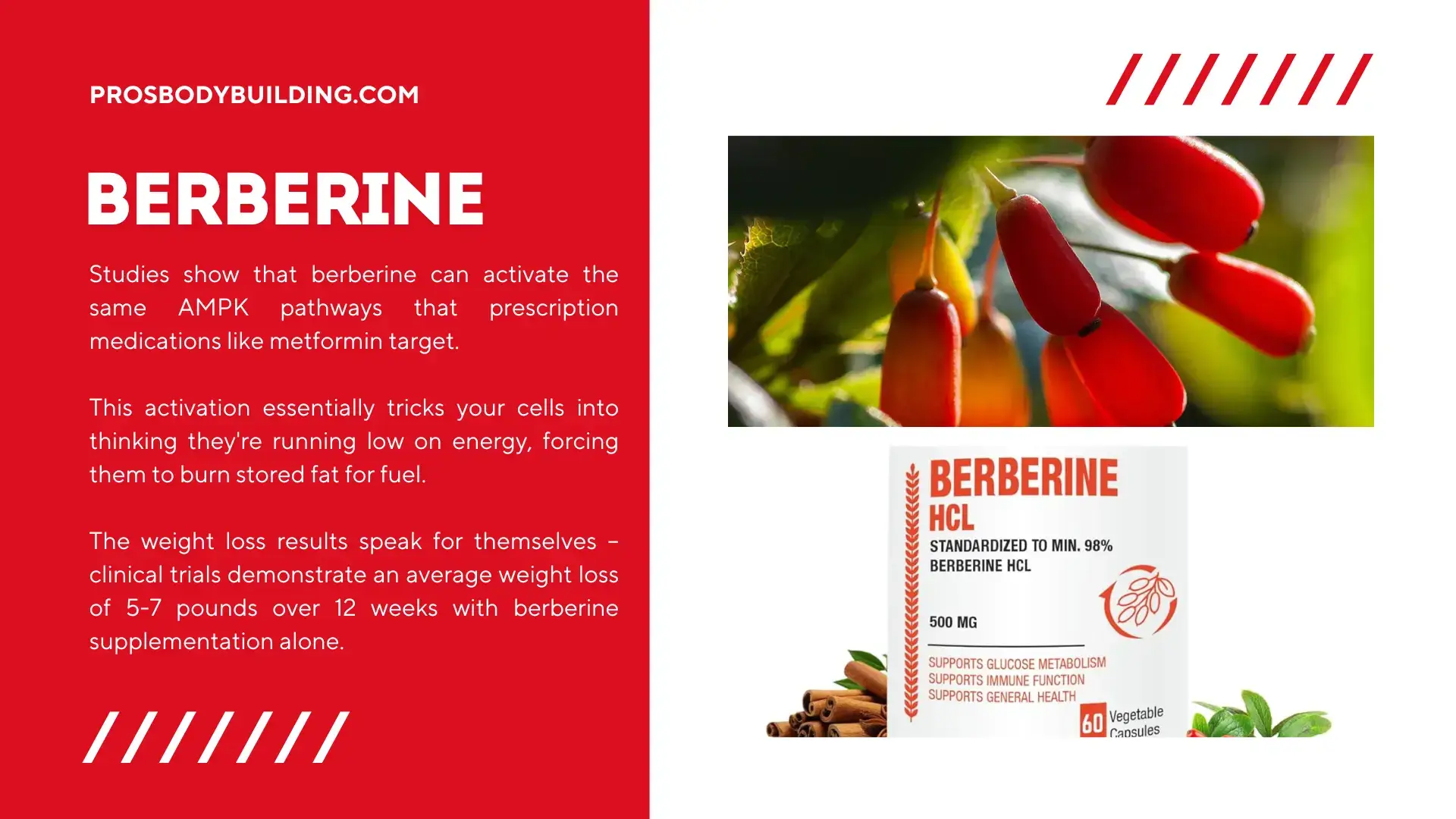 berberine
