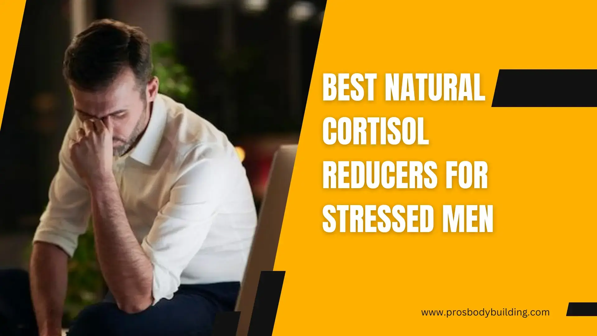 Best Natural Cortisol Reducers for Stressed Men