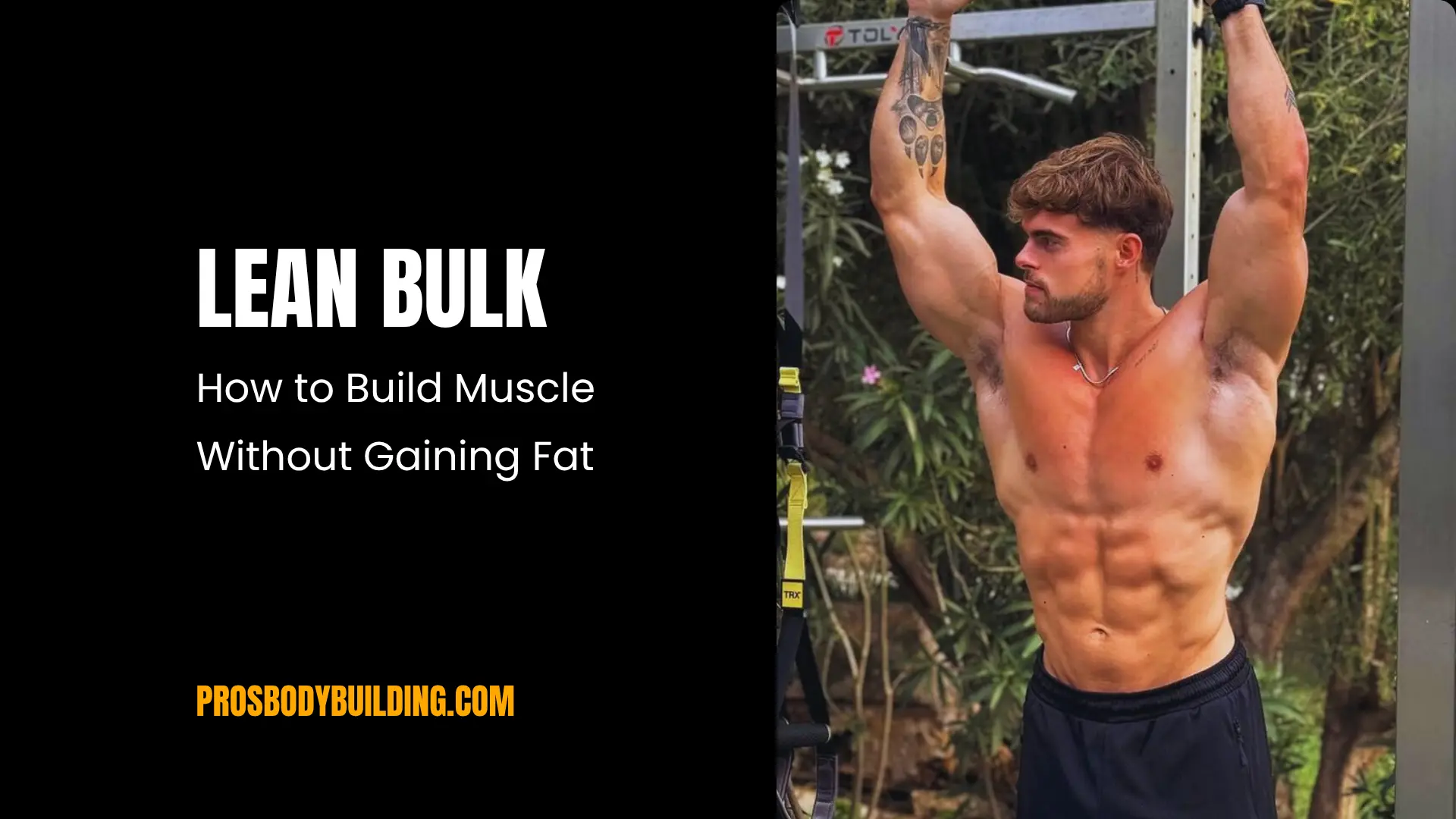 lean bulk
