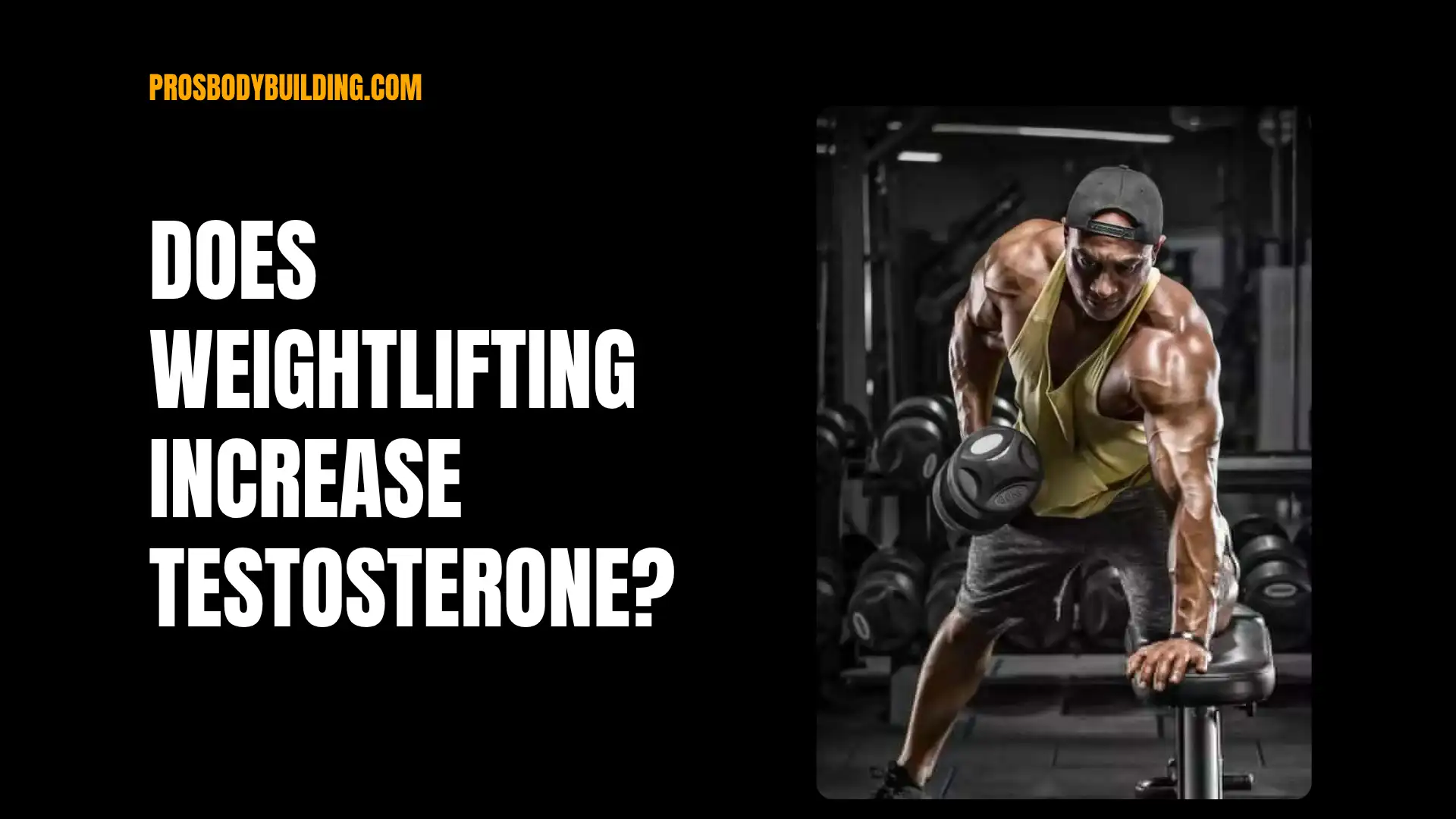 does weight lifting increase testosterone